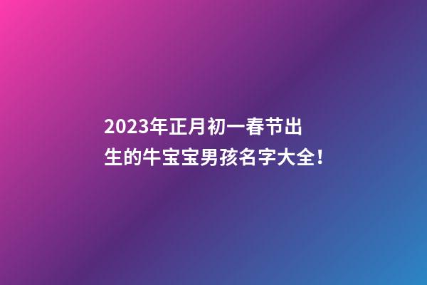 2023年正月初一春节出生的牛宝宝男孩名字大全！