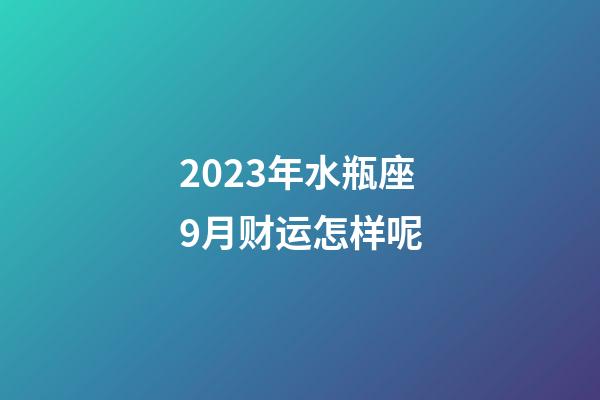 2023年水瓶座9月财运怎样呢-第1张-星座运势-玄机派