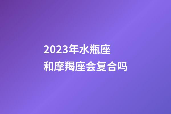 2023年水瓶座和摩羯座会复合吗-第1张-星座运势-玄机派