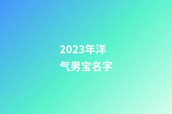 2023年洋气男宝名字