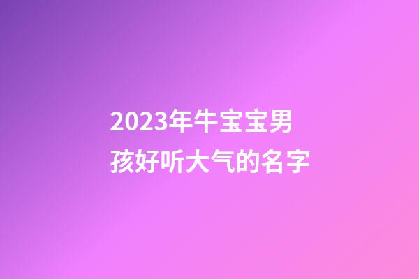 2023年牛宝宝男孩好听大气的名字