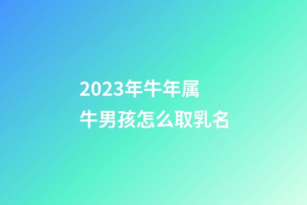 2023年牛年属牛男孩怎么取乳名