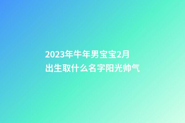 2023年牛年男宝宝2月出生取什么名字阳光帅气
