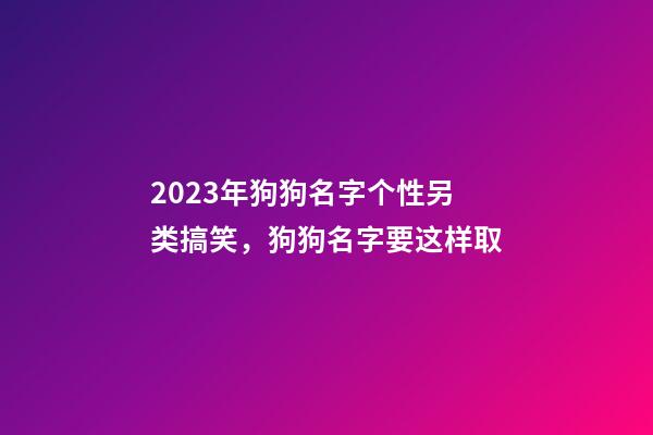 2023年狗狗名字个性另类搞笑，狗狗名字要这样取