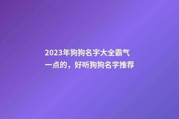 2023年狗狗名字大全霸气一点的，好听狗狗名字推荐