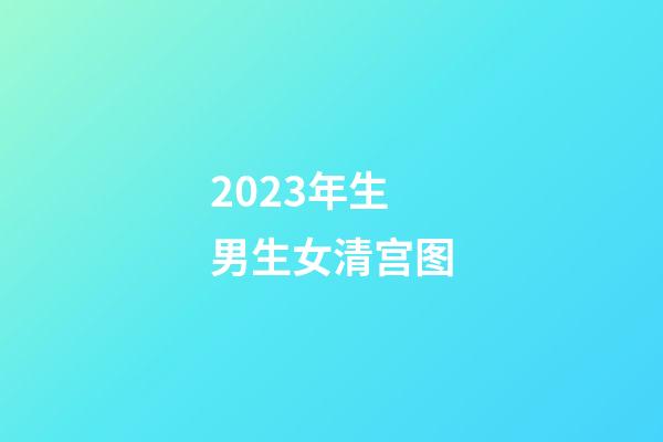 2023年生男生女清宫图