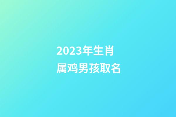 2023年生肖属鸡男孩取名