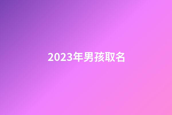 2023年男孩取名