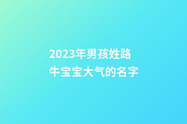 2023年男孩姓路牛宝宝大气的名字
