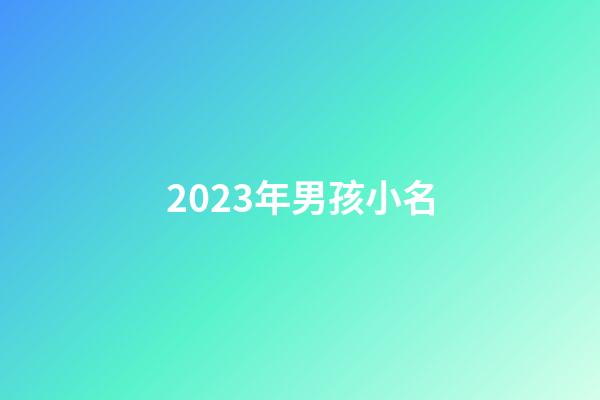2023年男孩小名