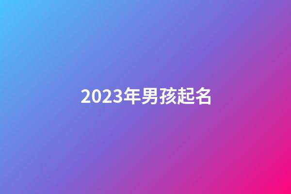 2023年男孩起名