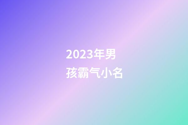 2023年男孩霸气小名