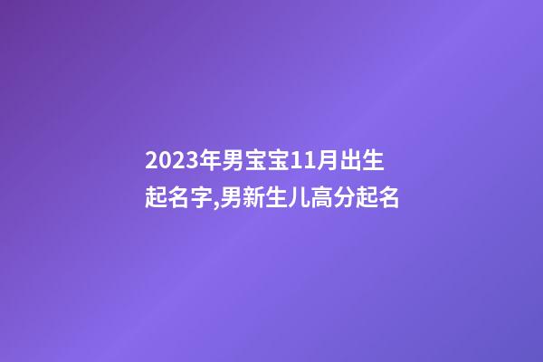 2023年男宝宝11月出生起名字,男新生儿高分起名