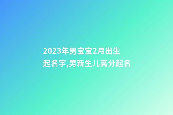2023年男宝宝2月出生起名字,男新生儿高分起名