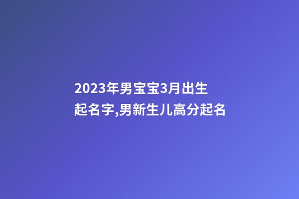 2023年男宝宝3月出生起名字,男新生儿高分起名