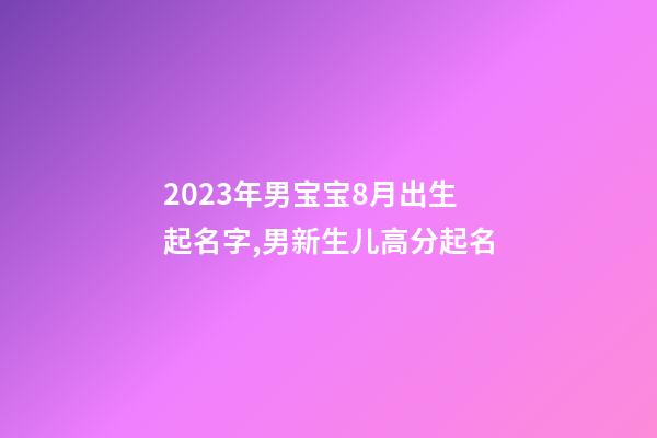 2023年男宝宝8月出生起名字,男新生儿高分起名