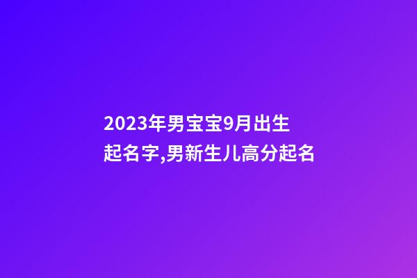 2023年男宝宝9月出生起名字,男新生儿高分起名