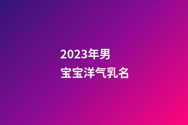 2023年男宝宝洋气乳名