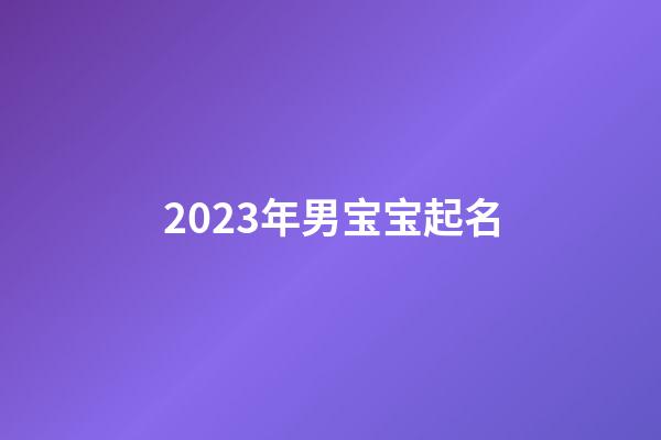 2023年男宝宝起名