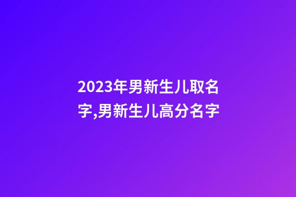2023年男新生儿取名字,男新生儿高分名字