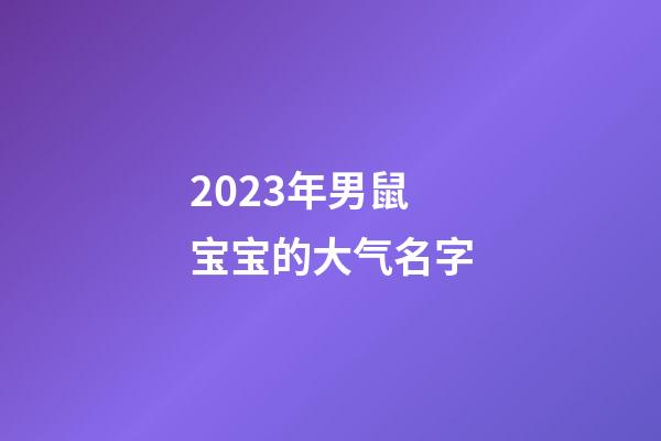 2023年男鼠宝宝的大气名字
