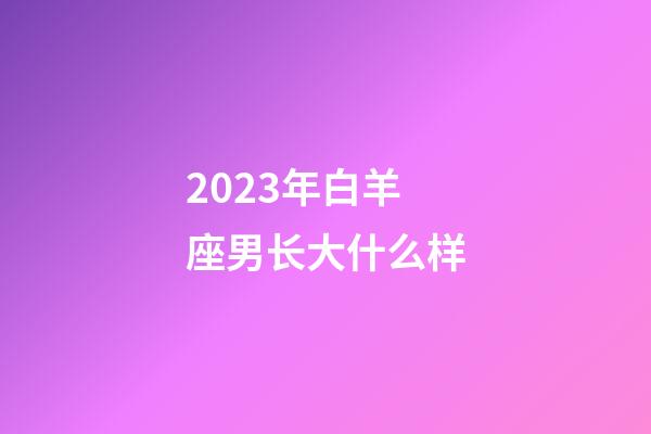 2023年白羊座男长大什么样-第1张-星座运势-玄机派