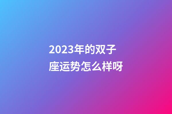 2023年的双子座运势怎么样呀-第1张-星座运势-玄机派
