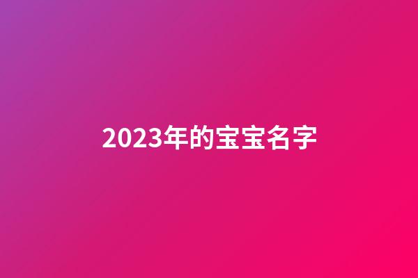 2023年的宝宝名字