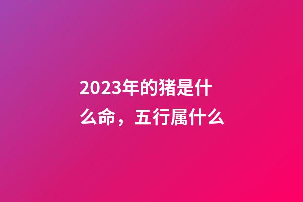 2023年的猪是什么命，五行属什么?
