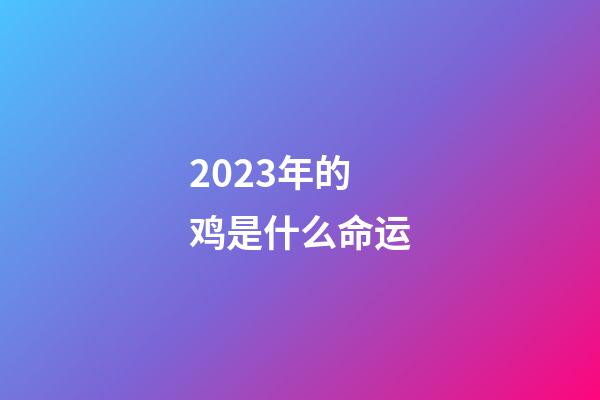 2023年的鸡是什么命运(明年水兔年，老话“黑兔送财来，双春麦当柴”，啥预兆？)-第1张-观点-玄机派