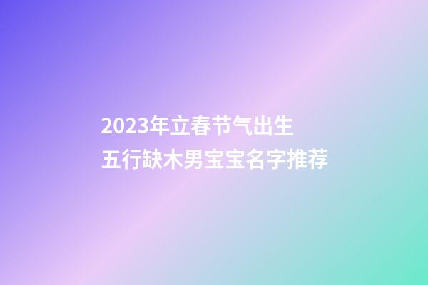 2023年立春节气出生五行缺木男宝宝名字推荐