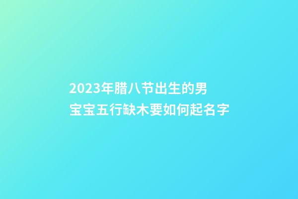 2023年腊八节出生的男宝宝五行缺木要如何起名字