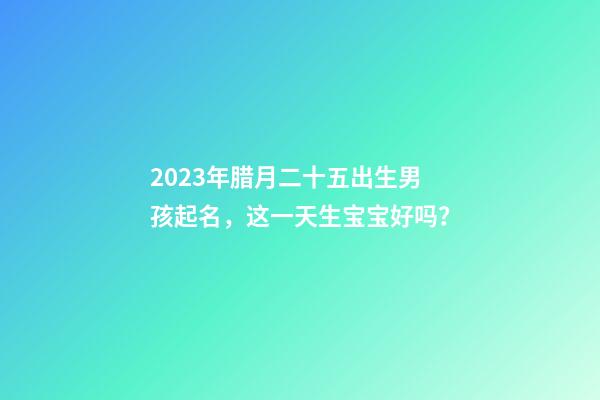 2023年腊月二十五出生男孩起名，这一天生宝宝好吗？
