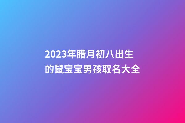2023年腊月初八出生的鼠宝宝男孩取名大全