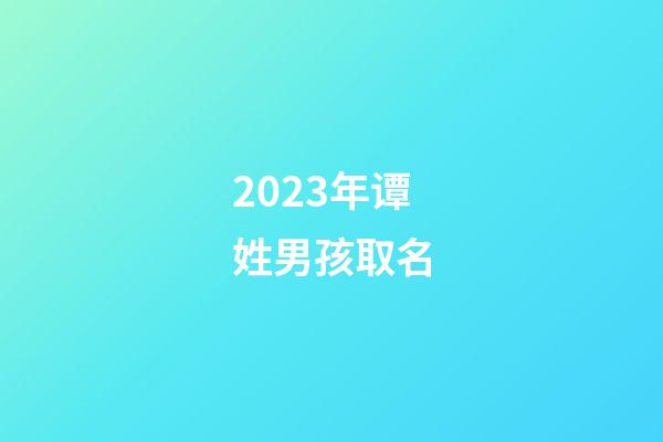 2023年谭姓男孩取名