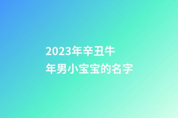 2023年辛丑牛年男小宝宝的名字