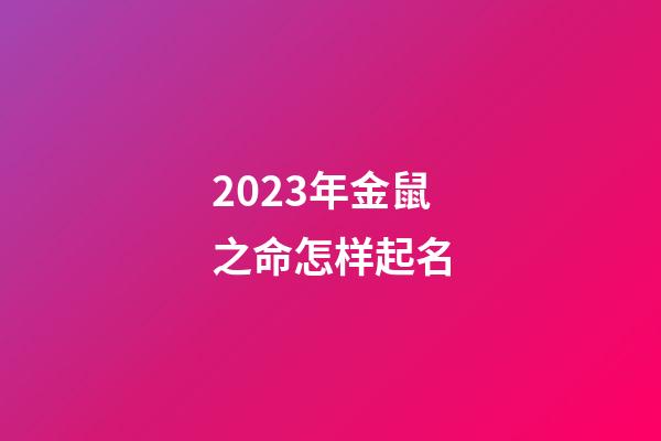 2023年金鼠之命怎样起名