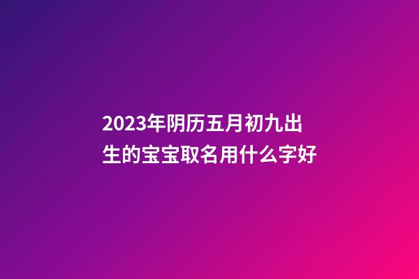 2023年阴历五月初九出生的宝宝取名用什么字好