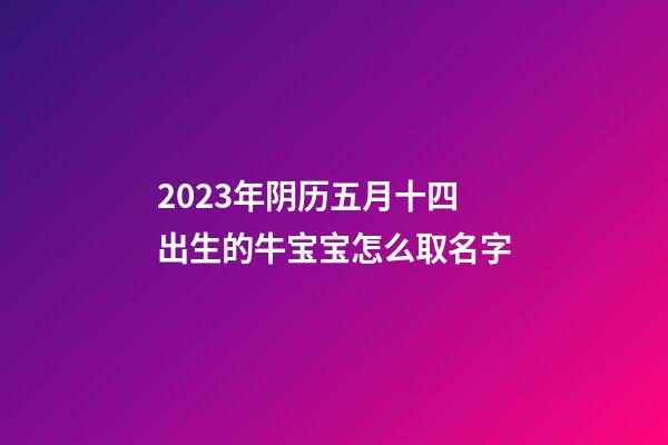 2023年阴历五月十四出生的牛宝宝怎么取名字