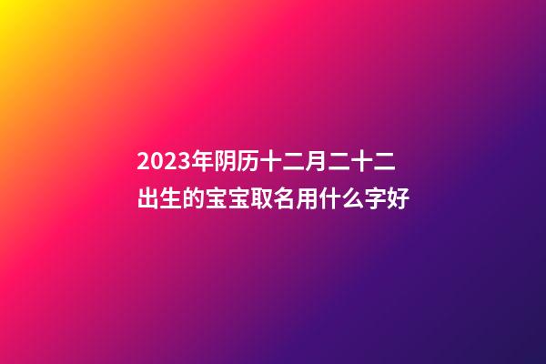 2023年阴历十二月二十二出生的宝宝取名用什么字好