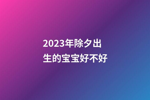 2023年除夕出生的宝宝好不好