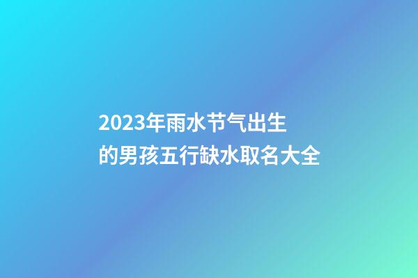 2023年雨水节气出生的男孩五行缺水取名大全