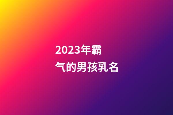 2023年霸气的男孩乳名