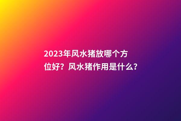 2023年风水猪放哪个方位好？风水猪作用是什么？