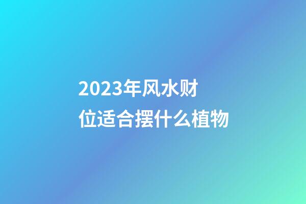 2023年风水财位适合摆什么植物