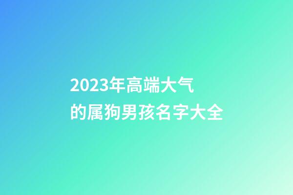 2023年高端大气的属狗男孩名字大全