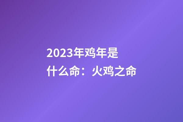 2023年鸡年是什么命：火鸡之命
