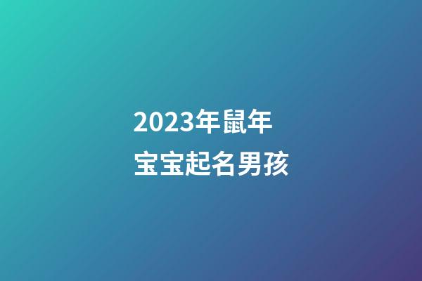 2023年鼠年宝宝起名男孩