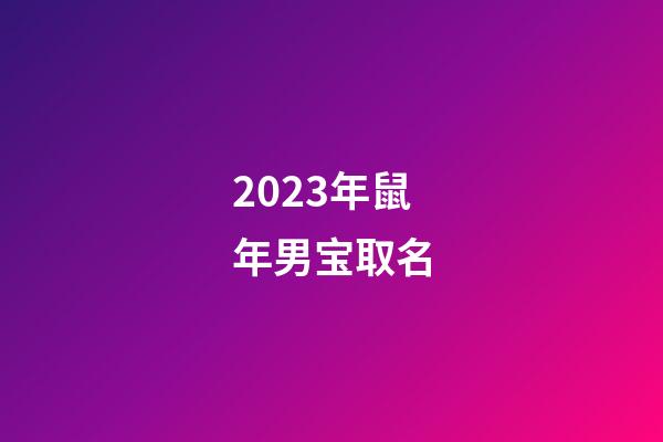 2023年鼠年男宝取名