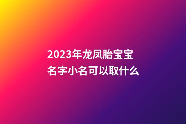 2023年龙凤胎宝宝名字小名可以取什么